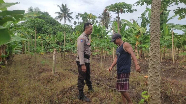 Silaturahmi Bhabinkamtibmas Labuapi Perkuat Kamtibmas dan Ketahanan Pangan