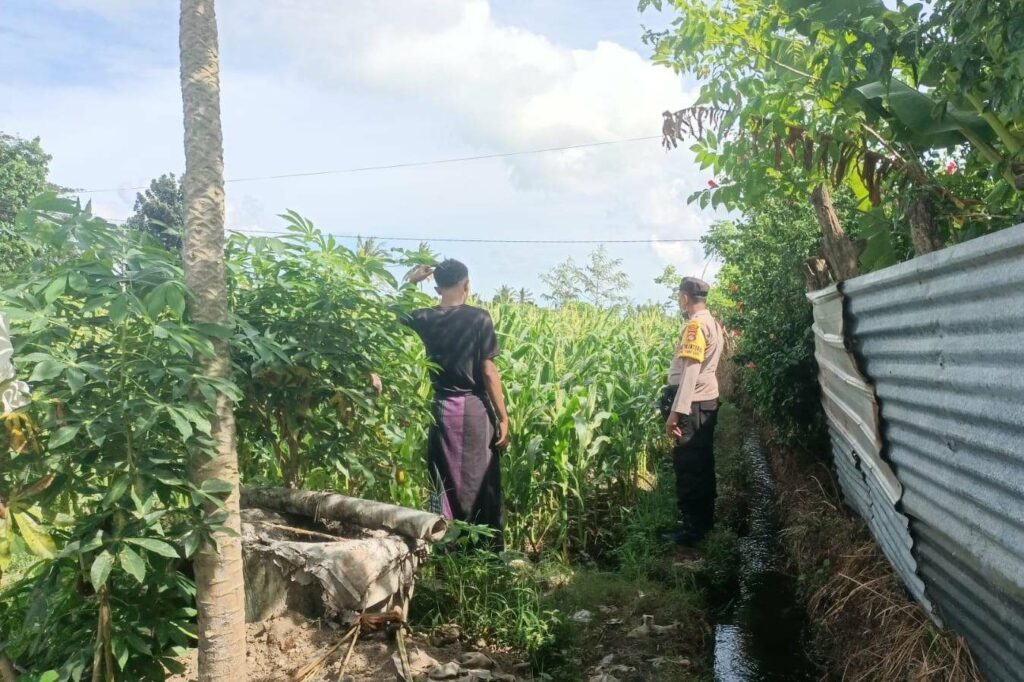 Jagung Bonanza dan Peran Polri dalam Ketahanan Pangan