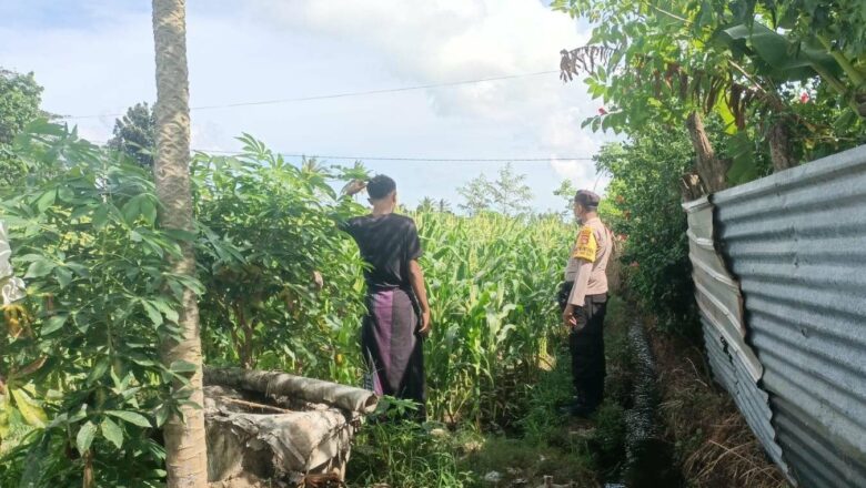 Pendampingan Polri Dorong Ketahanan Pangan di NTB