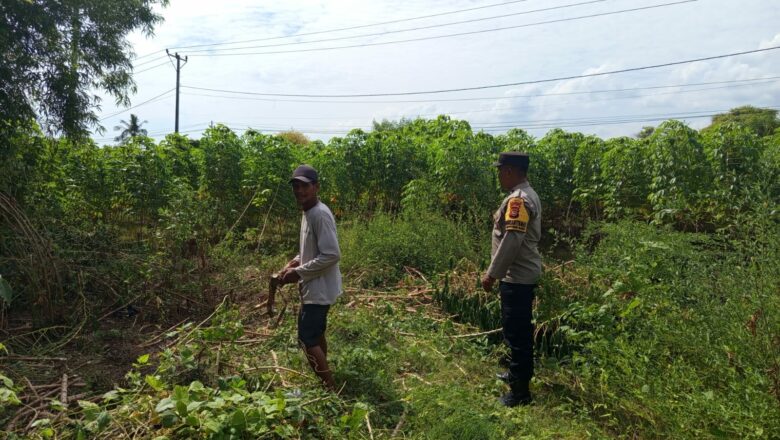 Peran Aktif Polisi Desa Sekotong Barat Dorong Produktivitas Petani