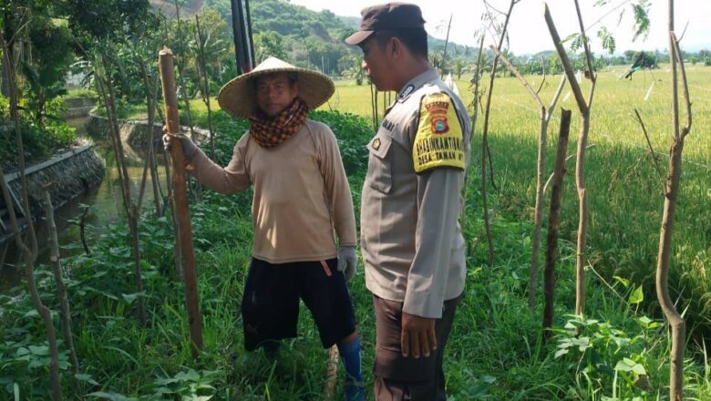 Ketahanan Pangan Dimulai dari Pekarangan: Inisiatif Polri di Taman Ayu