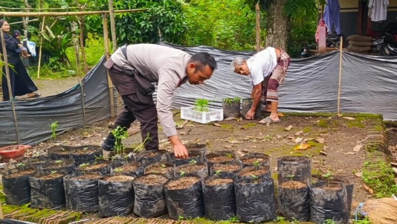 Ketahanan Pangan Dimulai dari Pekarangan: Inisiatif Polri di Kuripan