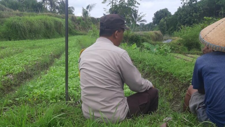 Bhabinkamtibmas Ajak Warga Montong Are Sukseskan Swasembada Pangan