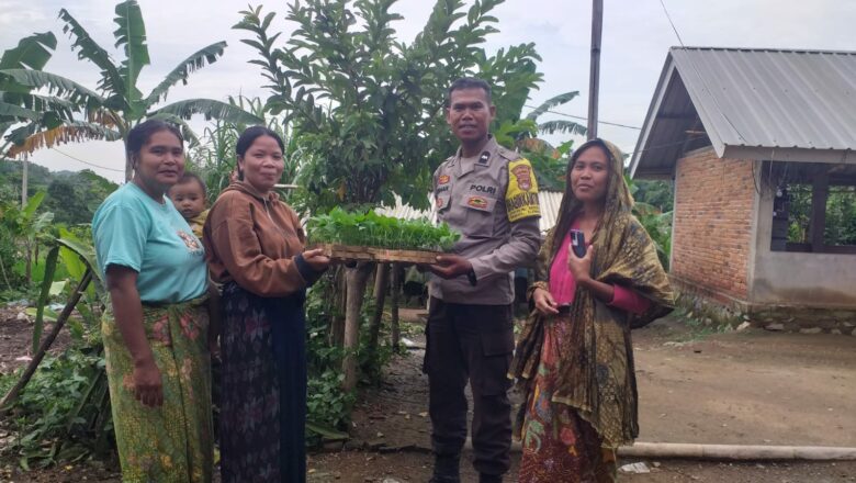 Wujud Kepedulian Polri: Bibit Cabai untuk Warga Dusun Guli, Lembar