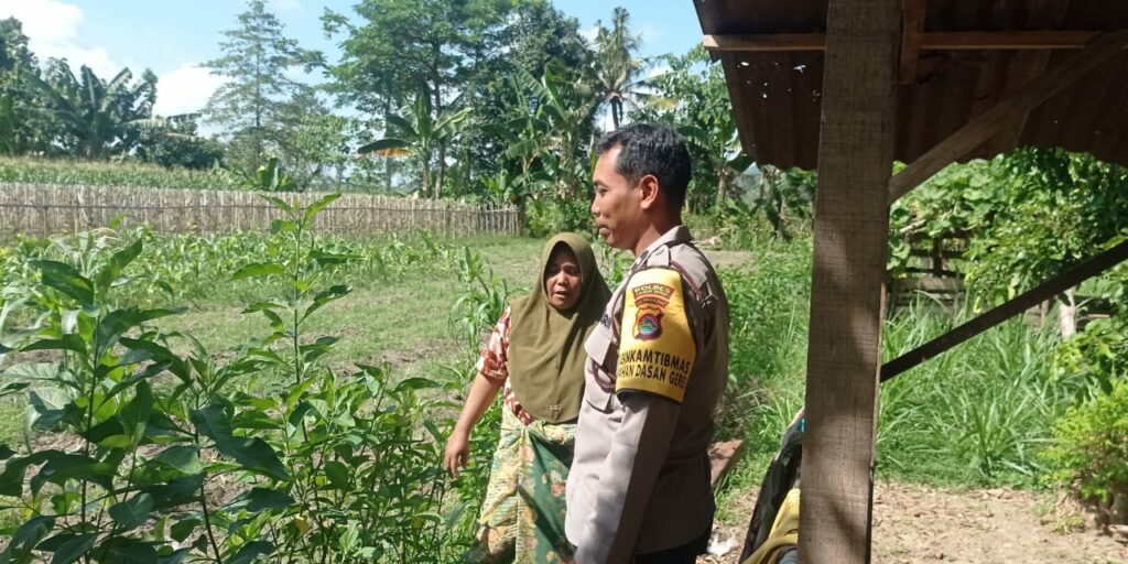 Gerakan Pekarangan Bergizi Mulai Diterapkan di Dasan Geres