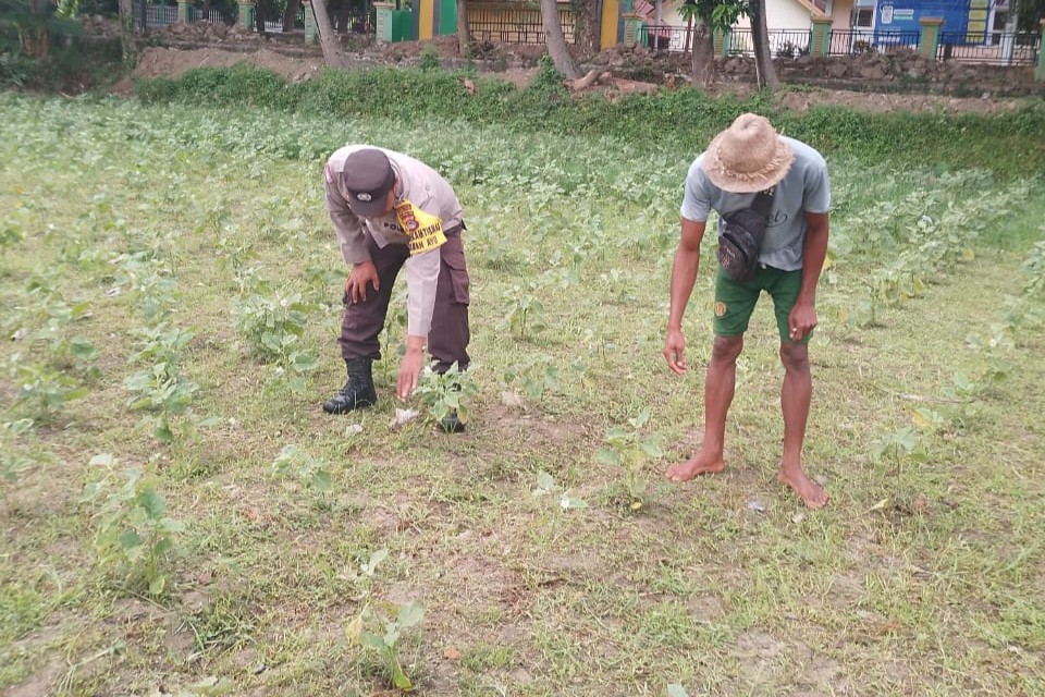 Ketahanan Pangan Lokal, Inisiatif Bhabinkamtibmas di Lombok Barat