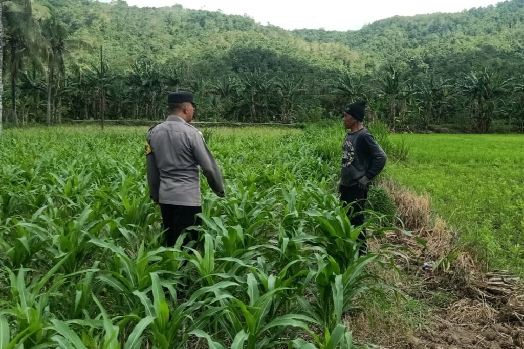 Kunjungan DDS: Ketahanan Pangan dan Kamtibmas Jadi Fokus Polisi Sekotong