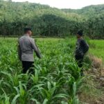 Silaturahmi Bhabinkamtibmas di Sekotong: Sinergi Jaga Kamtibmas dan Pertanian
