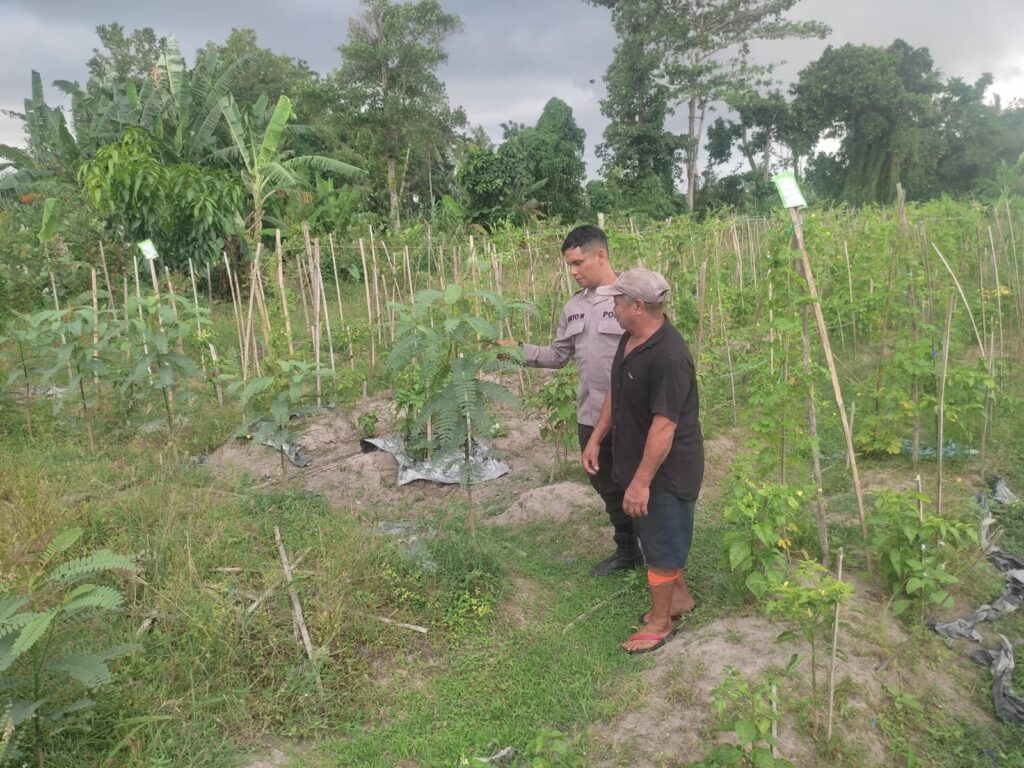 Kolaborasi Warga dan Polisi Dorong Pemanfaatan Pekarangan di Labuapi