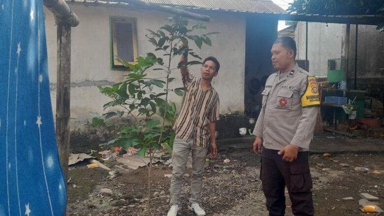 Bhabinkamtibmas Dorong Ketahanan Pangan dari Pekarangan Warga Kuripan