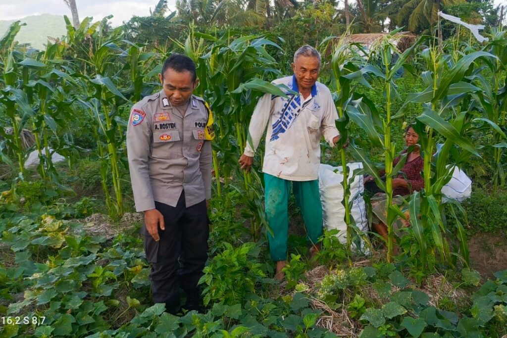 Motivasi Petani Kuripan, Polri Dorong Ketahanan Pangan dari Tingkat Desa