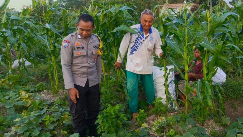 Sinergi Polri dan Petani Dusun Grepek Perkuat Program Ketahanan Pangan Nasional