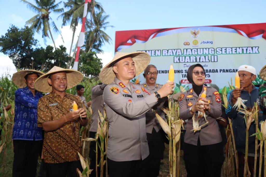 Dukungan Penuh Polri dan Pemda dalam Panen Raya Jagung NTB