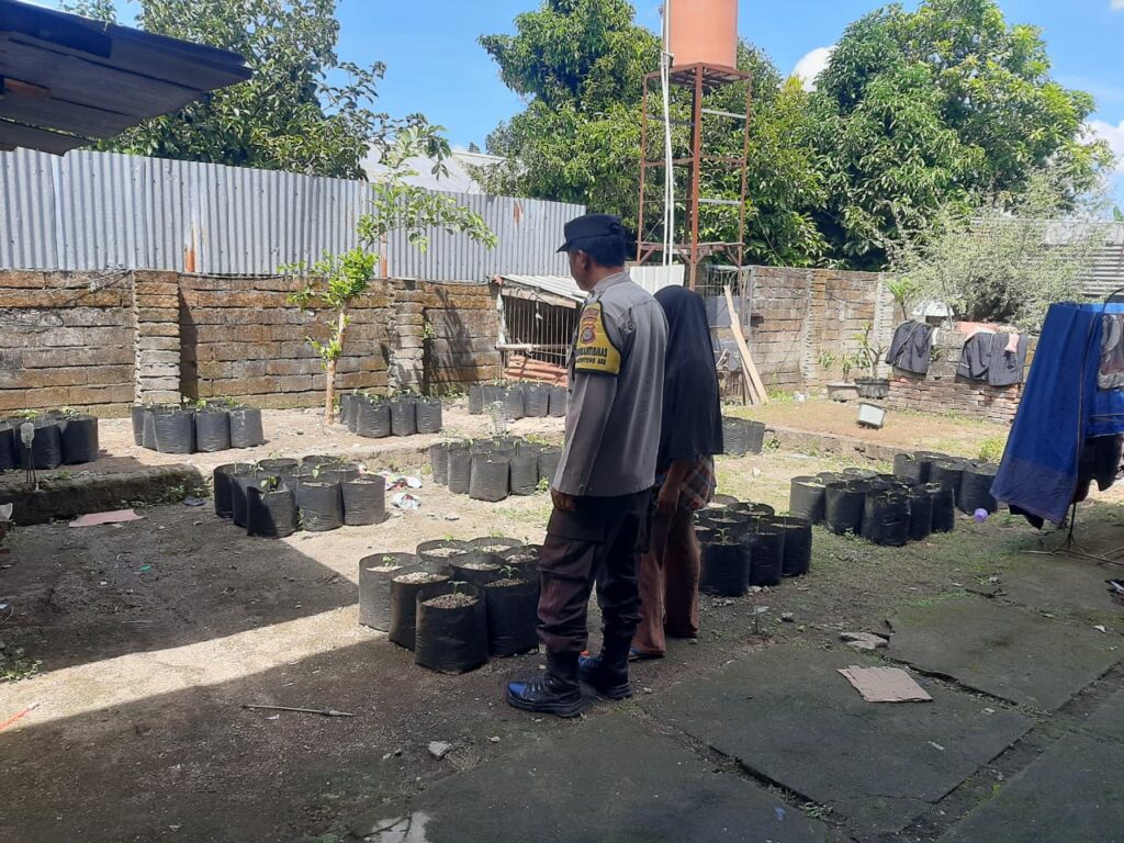 Pekarangan Bergizi Jadi Solusi Ketahanan Pangan di Desa Montong Are