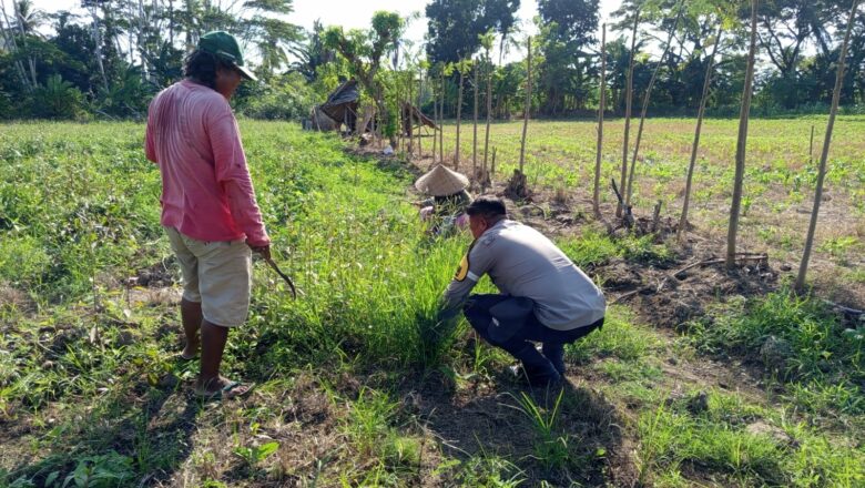 Sinergi Polri dan Petani Dusun Aik Senin dalam Wujudkan Ketahanan Pangan