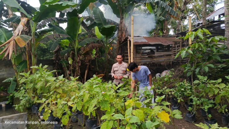 Sinergi Bhabinkamtibmas dan Pemuda di Kuripan Utara untuk Pangan