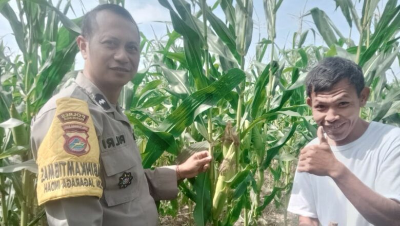 Sinergi Polri dan Petani di Kediri Dukung Swasembada Pangan