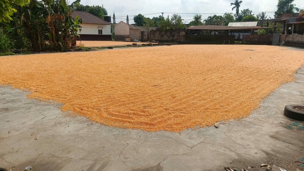 Pengawasan Gudang Jagung oleh Polsek Gerung Dukung Program Pangan