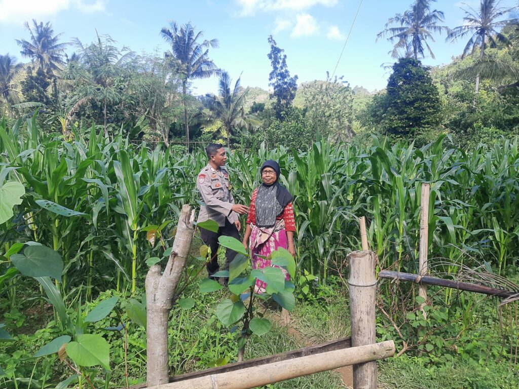 Peran Bhabinkamtibmas Desa Sekotong Timur dalam Program Pangan Nasional