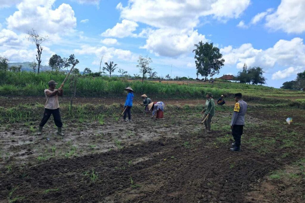 Peran Polri Dalam Swasembada Pangan di Sekotong, NTB