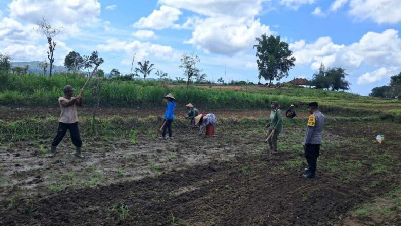 Bhabinkamtibmas Sekotong Aktif Dukung Ketahanan Pangan