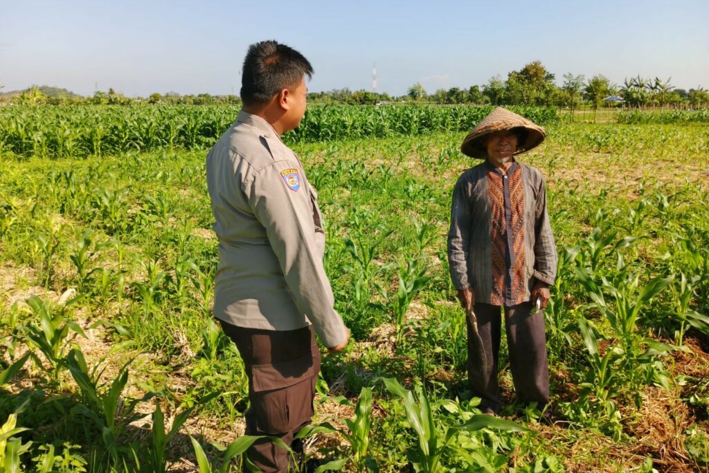 Peran Polsek Lembar dalam Ketahanan Pangan Desa