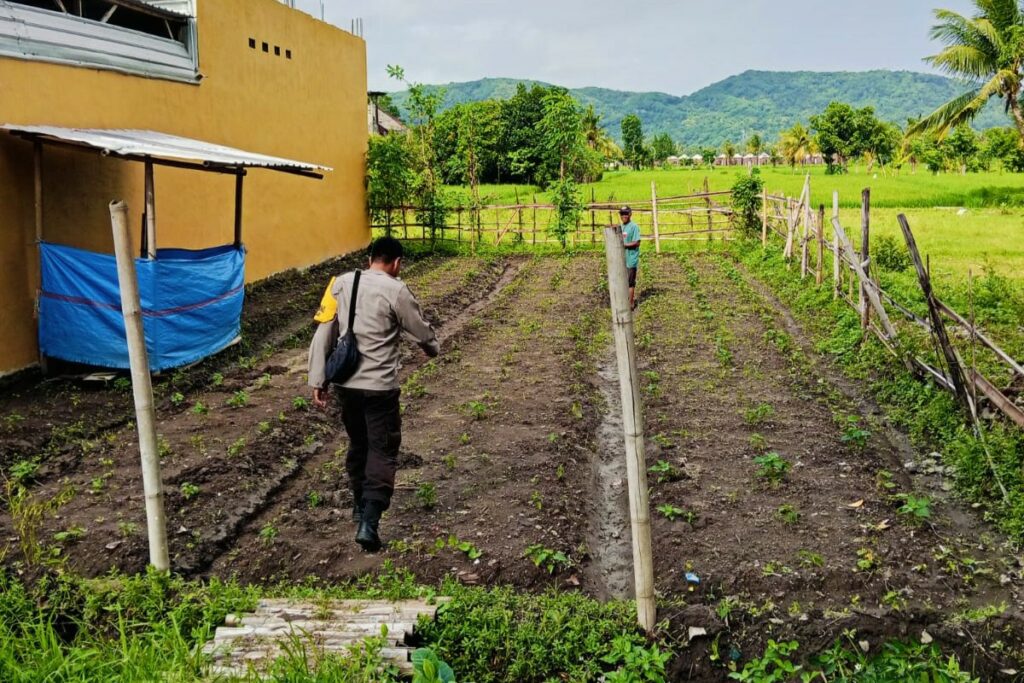 Polri Aktif di Ladang Petani Kediri, Dorong Kesejahteraan dan Ketahanan Pangan