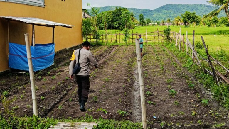 Bhabinkamtibmas Kediri Dukung Petani Wujudkan Ketahanan Pangan