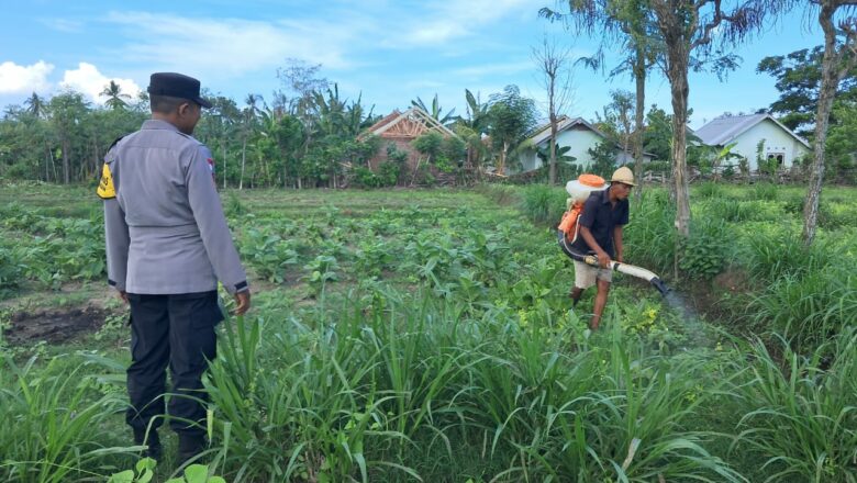 Bhabinkamtibmas Pelangan Aktif Dukung Ketahanan Pangan Lokal