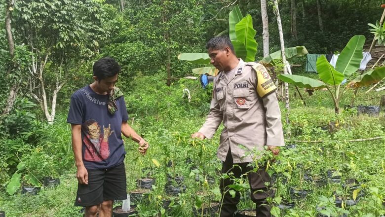 Peran Bhabinkamtibmas dalam Pekarangan Bergizi di NTB