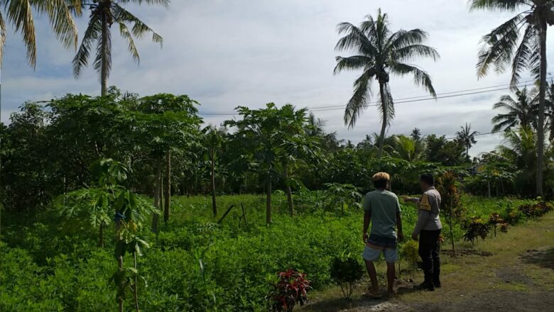 Bhabinkamtibmas Jagaraga Dorong Optimalisasi Lahan Warga