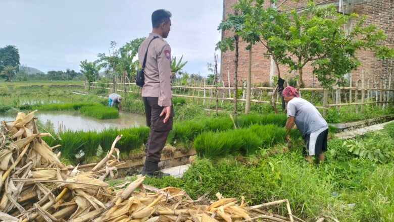 Peran Aktif Polri dalam Swasembada Pangan di NTB