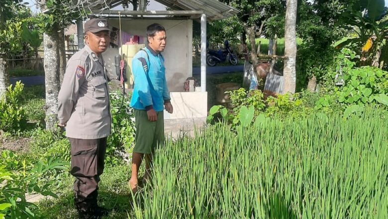 Sinergi Polri dan Petani: Ketahanan Pangan Dimulai dari Nyiur Gading