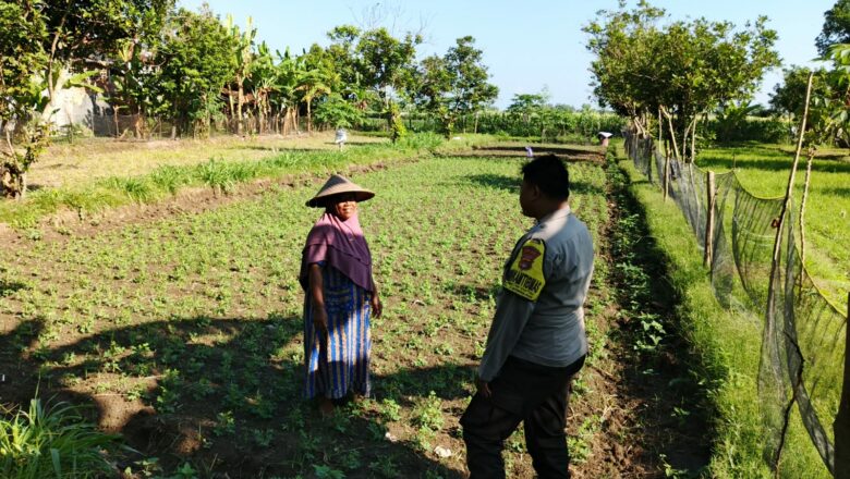 Pemanfaatan Pekarangan, Polsek Lembar Ajak Warga Wujudkan Swasembada