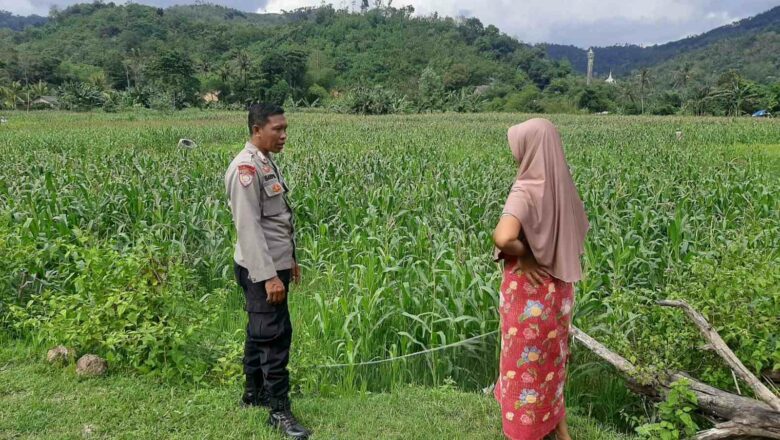 Sinergi Polri dan Petani: Wujud Nyata Ketahanan Pangan di Lombok Barat