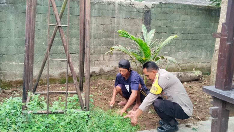 Ketahanan Pangan Dimulai dari Pekarangan: Inisiatif di Dusun Batusamban