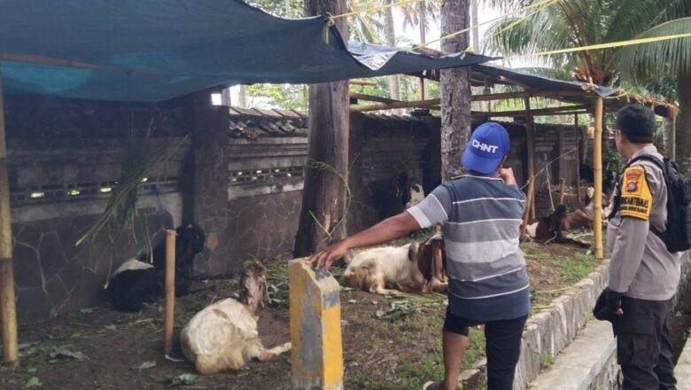 Ketahanan Pangan Dimulai dari Pekarangan: Inisiatif Bhabinkamtibmas Batulayar Barat