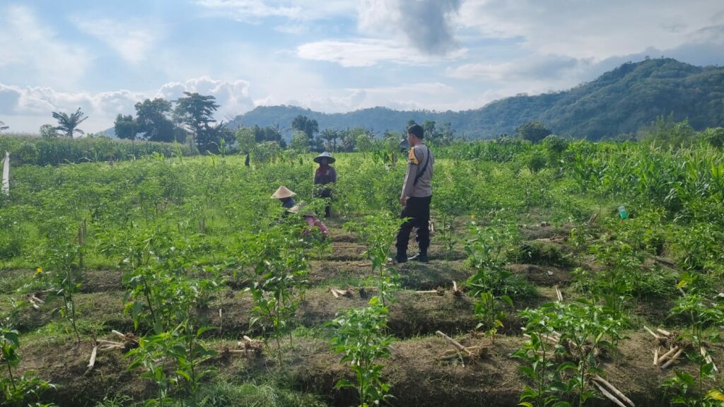 Sinergi Polisi dan Petani Dorong Ketahanan Pangan di Jembatan Kembar Timur