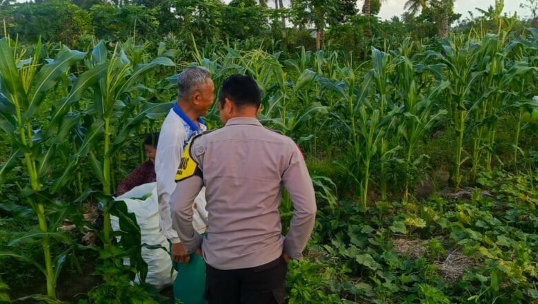 Polisi Sambangi Petani Mentimun di Lombok Barat