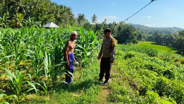 Polisi Aktif Dukung Ketahanan Pangan di Mareje Timur
