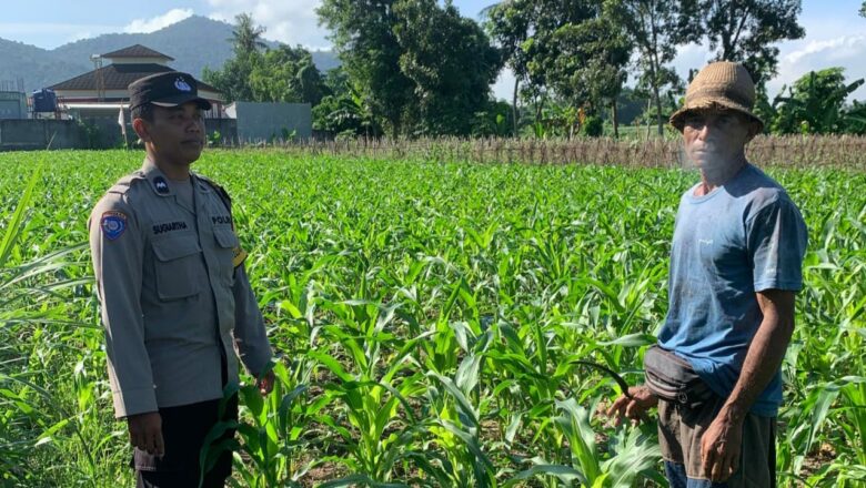 Polsek Gerung Dorong Pemanfaatan Pekarangan Warga di Dasan Geres
