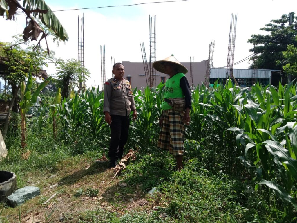 Dukung Ketahanan Pangan, Polisi Ajak Petani Manfaatkan Lahan Kosong