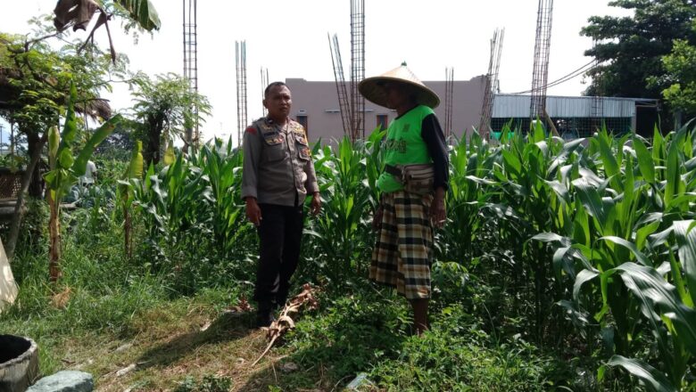 Sinergi Polisi dan Warga Dorong Kemandirian Pangan di Lombok Barat