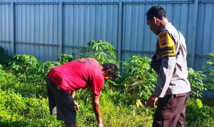 Bhabinkamtibmas Senteluk Edukasi Warga Manfaatkan Pekarangan