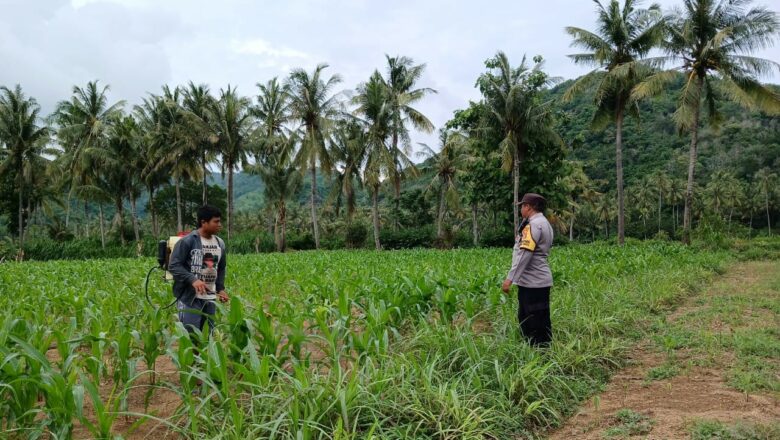 Aparat Dampingi Petani: Edukasi dan Motivasi di Desa Giri Tembesi