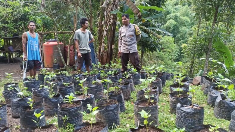 Dukung Swasembada Pangan, Bhabinkamtibmas Desa Batulayar Turun ke Lapangan