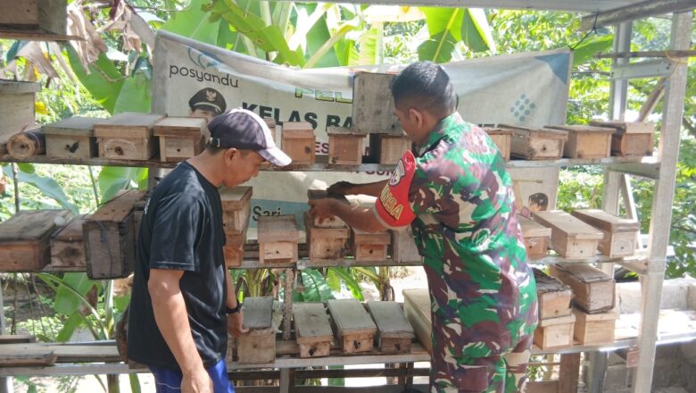 Sinergi Babinsa dan Warga Kembangkan Madu Trigona Berkualitas