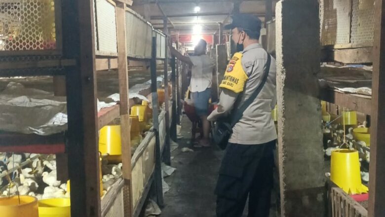 Sinergi Polri dan Warga Ombe Baru Perkuat Ketahanan Pangan Lokal