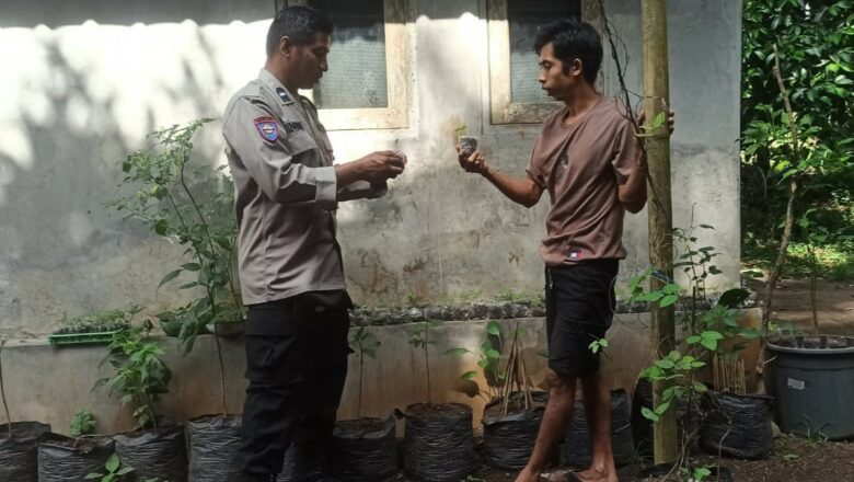 Polsek Batulayar Dukung Swasembada Pangan dari Rumah Warga