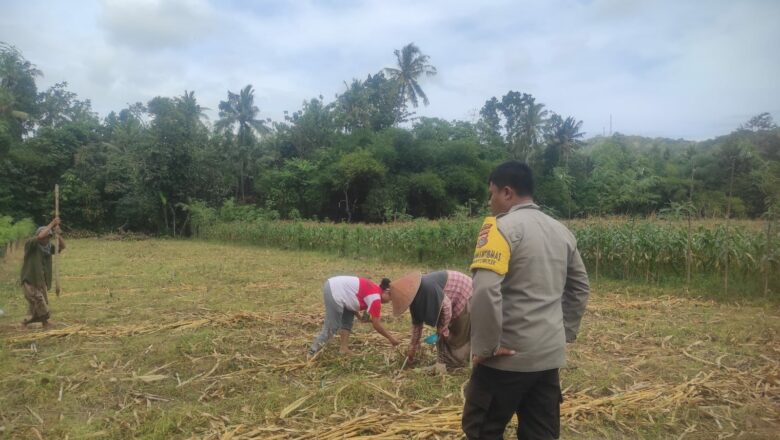 Sinergi Polisi dan Petani di Banyumulek Perkuat Ketahanan Pangan Lokal